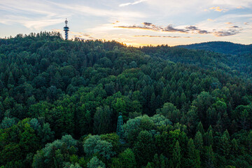 Góra parkowa wieża widokowa, wiosna, Małopolska, Sądeckie, EU © Maciej G. Szling