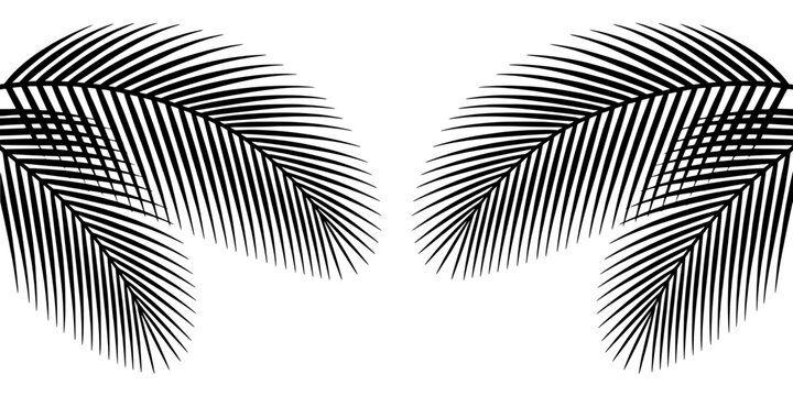 Feather Hand Drawn Swirl Strokes Vector with Layered Hatch Lines and Symmetrical Mirror Wings for Vintage Tattoo Design