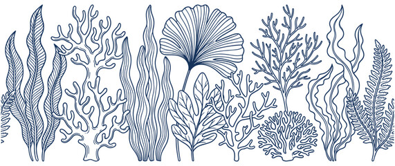 Underwater plants and coral reef illustration. © Ojufa