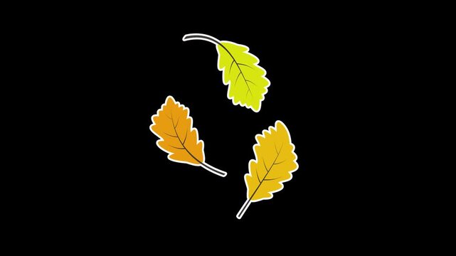 Seamless looping animation of three swinging dry oak leaves for autumn and fall seasonal concepts. Flat style sticker design element isolated on transparent alpha channel background