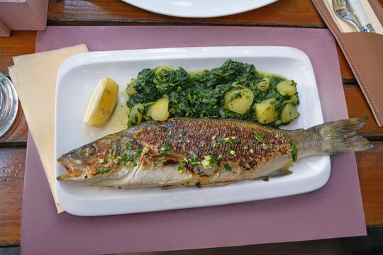 Balkan cuisine. Grilled fish of  European seabass ( brancin )  with green leafy vegetables in konoba, authentic local restaurant