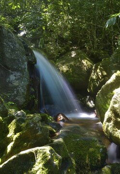 Waterfall in jungle, Nosy Mangabe, eastern Madagascar, Madagascar