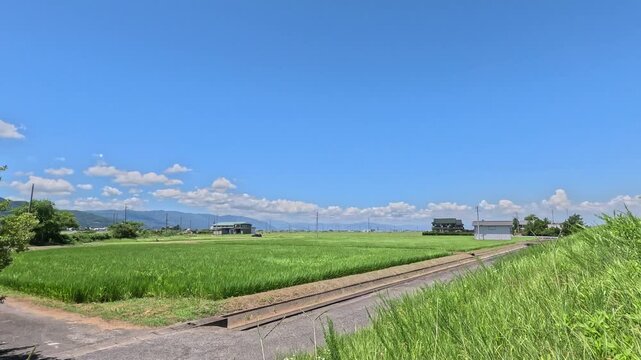 日本の田園風景、緑の田んぼと青い空