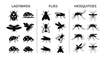 Insect silhouettes Ladybird fly and mosquito vector illustration © Begum