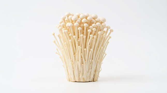 Enoki Mushrooms Bunch: A tightly packed bunch of delicate enoki mushrooms, showcasing their slender stems and tiny caps, perfect for adding texture and elegance to culinary creations.