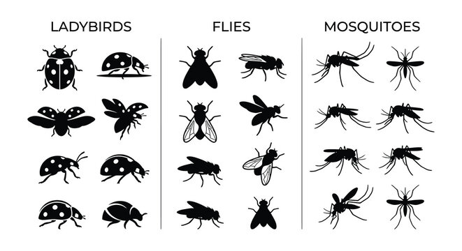 Insect silhouettes Ladybird fly and mosquito vector illustration