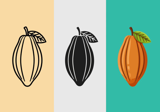 Three variations of a cocoa bean, from outline to realistic illustration, symbolizing chocolate production and ingredients