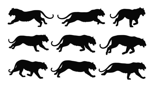 Collection of black panther silhouettes in various dynamic running and stalking poses a graphic silhouette big cat feline predator wildlife