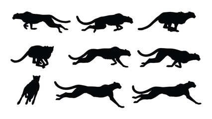 Cheetah running poses in sequence a series of black animal silhouettes cheetahs run sprint speed feline big cat predator wildlife © SIMPLYXRIAD