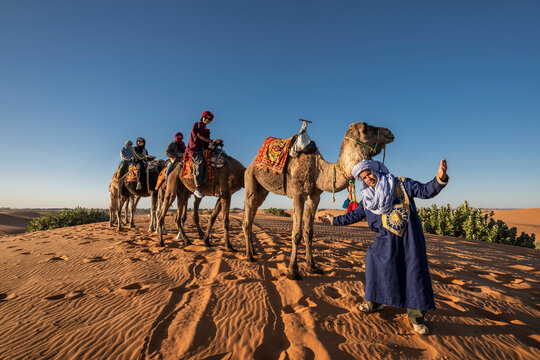 group of friends enjoying a camel ride in the Sahara