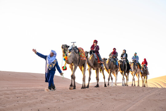 group of friends enjoying a camel ride in the Sahara