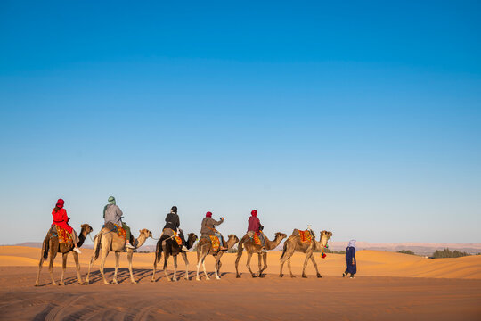 group of friends enjoying a camel ride in the Sahara