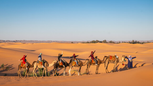 group of friends enjoying a camel ride in the Sahara