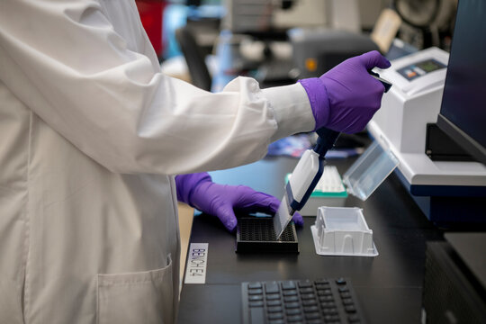 Scientist using a multi channel pipette in a laboratory