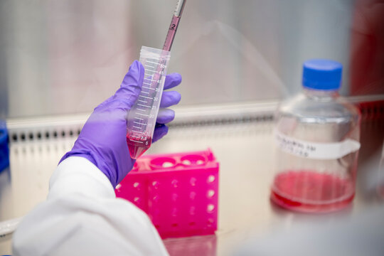 Gloved hand pipetting red fluid into a test tube