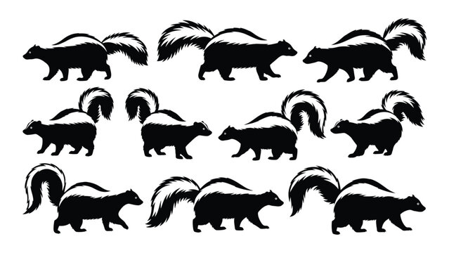 Collection of black skunk silhouettes in various poses against a white background silhouette skunks mustelid mammal wildlife animal animals fauna