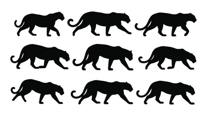 Obraz premium A Collection Of Black Panther Silhouettes In Various Walking Poses A Graphic Silhouette big cat feline predator wildlife animal vector
