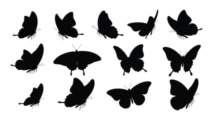 Collection Of Black Butterfly Silhouettes With Detailed Wing Shapes And Antennae A Graphic Silhouette butterflies lepidoptera insect insects wings antenna © SIMPLYXRIAD