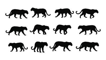 Collection of panther silhouettes in various walking poses against a white background silhouette panthers big cat feline felines predator predators © SIMPLYXRIAD