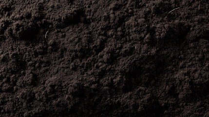 Obraz premium Rich dark garden soil with organic matter and natural texture