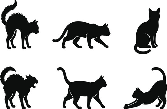 Black cat silhouettes in different poses