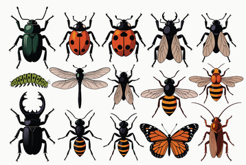 Fototapeta premium Extensive collection of various insects and bugs including beetles, bees, a butterfly, a dragonfly, and a caterpillar on white.