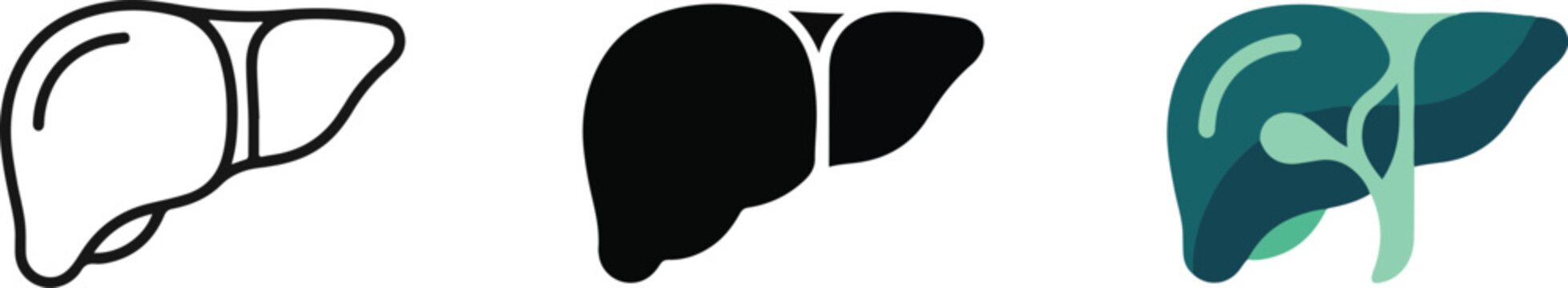 Human liver medical illustration in three different styles