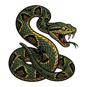 Realistische viper snake Comic Vector Illustration | Vipernschlange f&uuml;r T-Shirt-Design