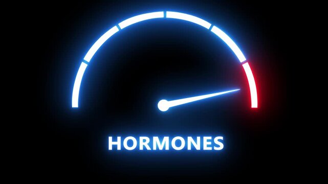 Hormones level gauge meter animation: neon glowing indicator rising to risk zone hormonal balance imbalance