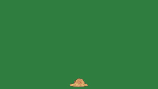 Fire burns on an explosion in the middle of black smoke cloud isolated on green screen background