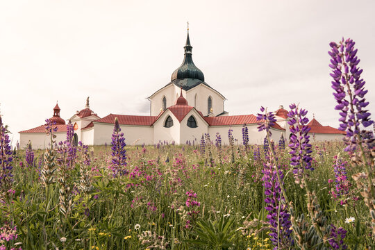 Pilgrimage Church of Saint John of Nepomuk on Zelen&aacute; Hora, Zdar nad Sazavou in Spring with Blooming Meadow