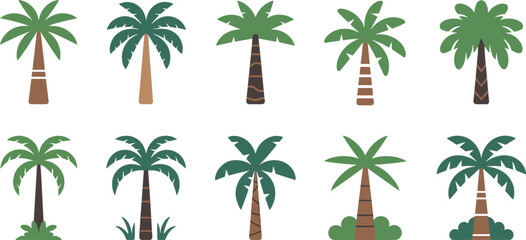 Tropical palm trees vector collection with various exotic plant shapes and trunks flat icon illustration isolated on white background © MdAbdur