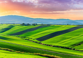 Obraz premium scenic green field with young salad grass on spring hills and beautiful mountains with nice evening sky on panoramic rural landscape