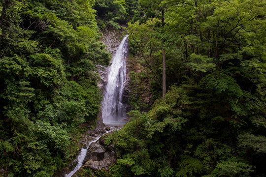 森の中の小さな滝