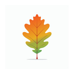 Fototapeta premium Autumn oak leaf with gradient colors on white background