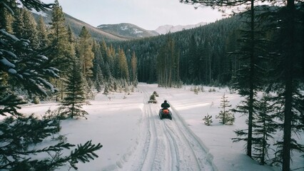 Aerial view of snow mobiles traveling across a snowy arctic tundra in the high mountains on a cold winters day.  © pinan
