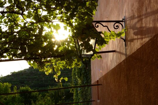 Old lantern at sunset among the plants taken with my Nikon D7100