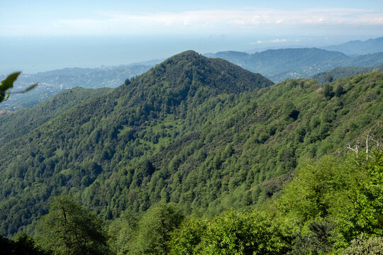 Panoramic view of green forested mountain ridges rolling down to the Black Sea coast and distant city of Batumi in Georgia