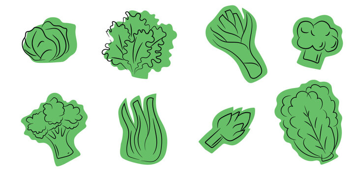 Green Healthy Vegetable Line Art Doodle Vector Illustration, hand-drawn, Root, leaf Diet Foods