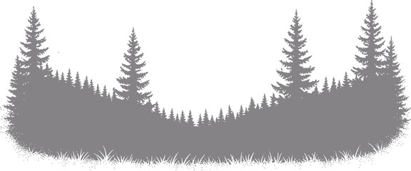 Silhouette of a pine forest with grass at the bottom © Abdullah_43