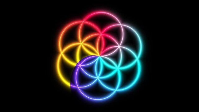 Geometric neon flower of life animation loop featuring vibrant glowing colorful rings on black background video