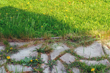 Naklejka premium Stone garden path overgrown with grass and dandelion. Residential backyard walkway with paved slabs and weeds. Nature landscape design, garden maintenance and landscaping concept