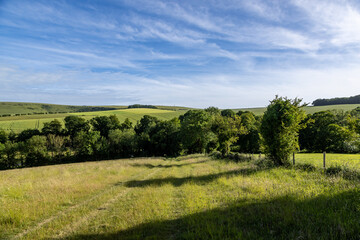 Naklejka premium A view from along the South Downs Way in Sussex, on a sunny summer's day