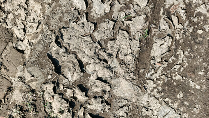 Fototapeta premium Detailed dry cracked soil texture with natural earthy patterns, ideal for website backgrounds, presentation templates, packaging mockups, and environmental design projects.