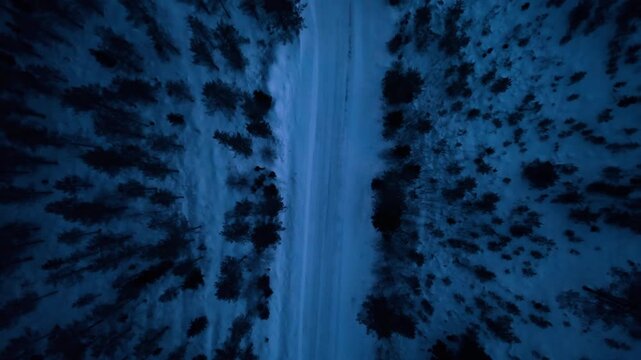 Top down view of snowy road through dark pine forest, Lapland. Overhead drone shot of narrow trail between snow covered trees at blue hour.
