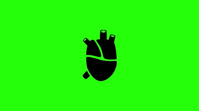 Dynamic 4K resolution asset showing a biological human heart muscle organ silhouette bouncing. Playful popup cardiology surgery center icon element.