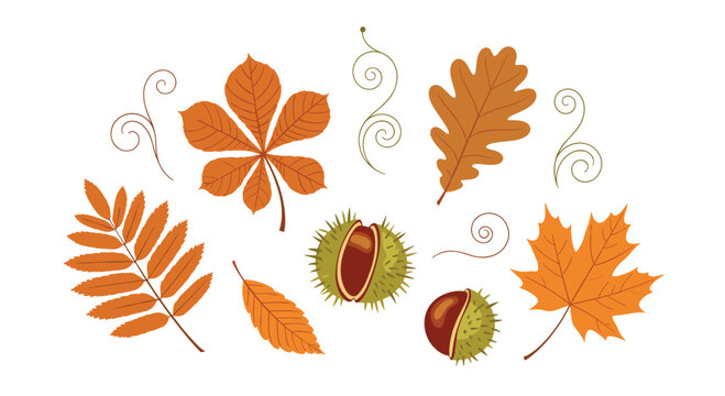 Autumn themed illustration featuring various orange and brown leaves alongside chestnuts and decorative swirling vines.