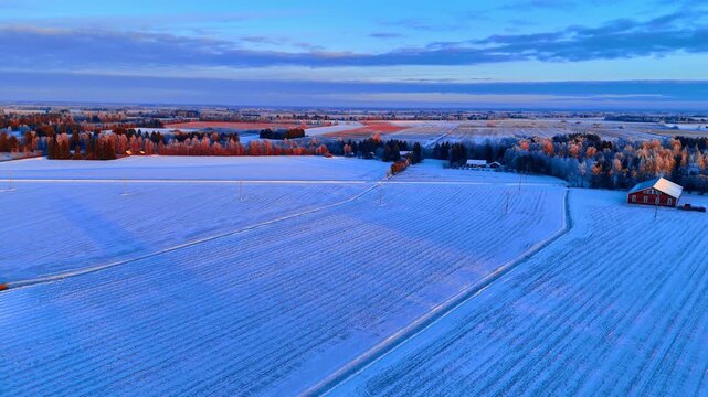 Red farmhouse on snow covered fields at golden hour, Finnish Lapland. Aerial view of plowed furrows under snow, frosted trees and scattered farm buildings in warm light.
