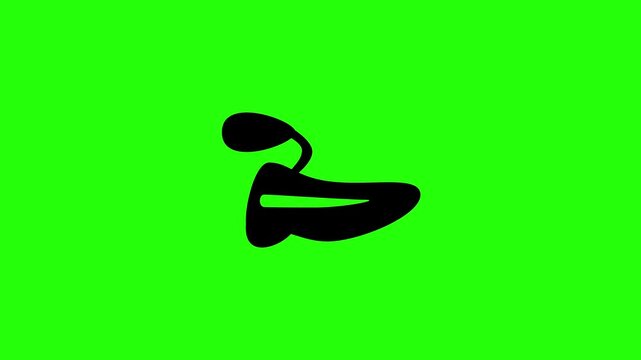 Premium 4K motion graphic of a human pancreas organ and gallbladder silhouette bouncing. Clean asset for endocrinology insulin diabetes layout site.