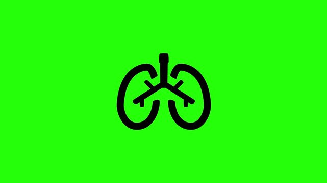 Premium 4K video showcasing a pair of biological human lungs respiratory organ silhouettes bouncing fluidly. Clean pulmonology clinic layout popup asset.
